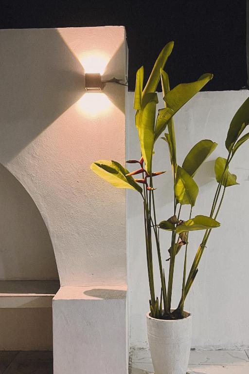 Fotografie z fotogalerie ubytování Halaman Villa v destinaci Klang