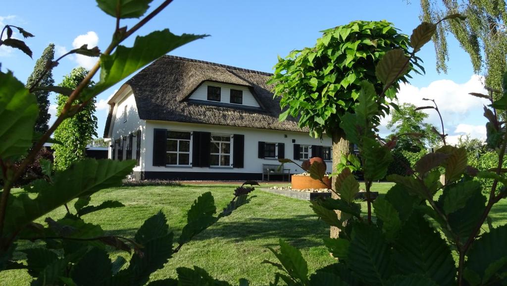 Mimosa bed & breakfast Unterkunft