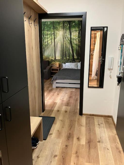Postel nebo postele na pokoji v ubytování Apartmán Vrbno pod Pradědem