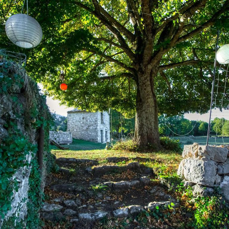 un arbre et un mur de pierre avec un arbre et un frisbee dans l'établissement Maison Marthe - Maison Nomade Chic, à Coursegoules