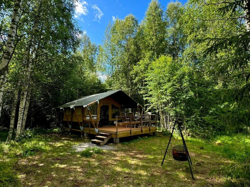 Příroda nedaleko luxury tent