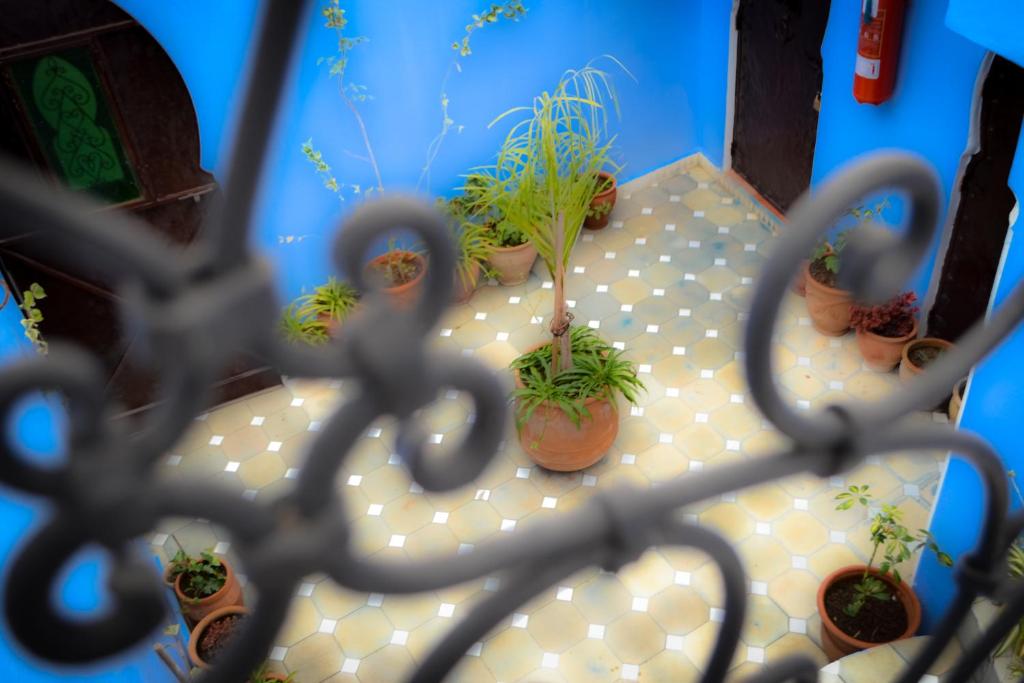 Fotografie z fotogalerie ubytování Hotel Dar Mounir v destinaci Šafšawán