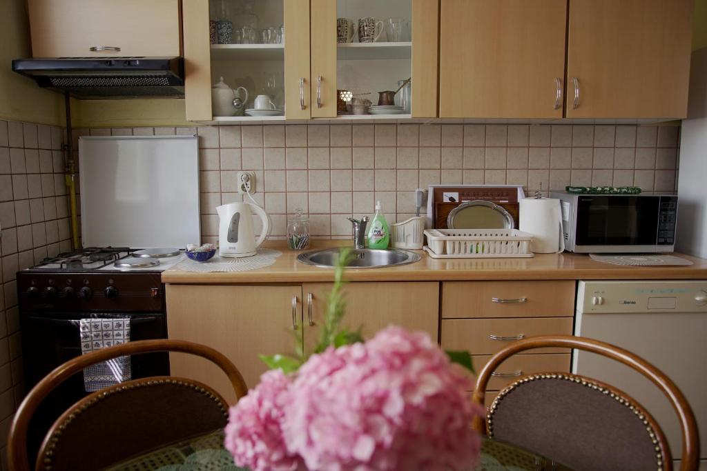 A kitchen or kitchenette at Hedgehog's Home - Ježeva kućica Free Parking