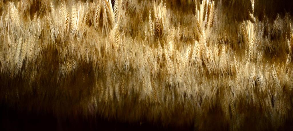 Hotel M Soleil - Montpellier Centre Saint Roch - Resim 40