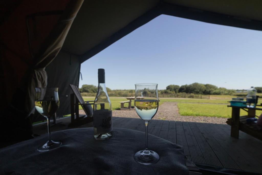 Příroda nedaleko luxury tent