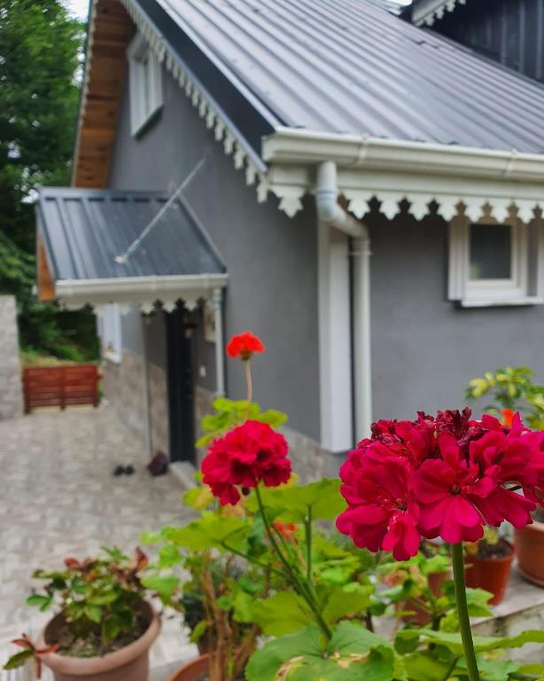 Zahrada ubytování Cennet bahçesi
