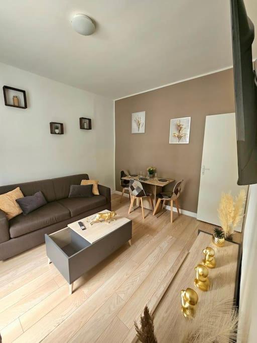un salon avec un canapé et une table dans l'établissement Appartement en bords de Seine proche de Paris, à Alfortville