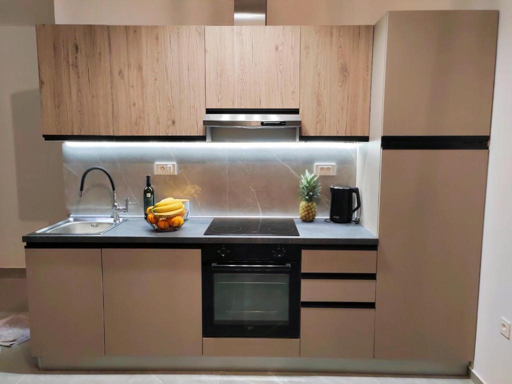 Kuchyň nebo kuchyňský kout v ubytování Apartments Alen