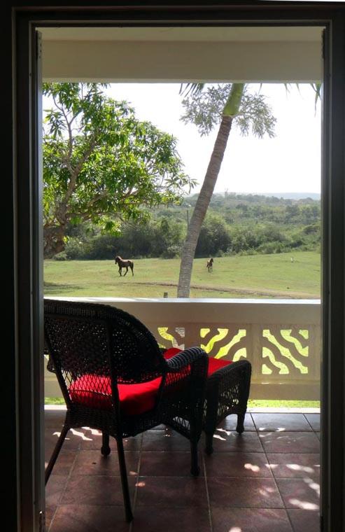 Hacienda Tamarindo photo