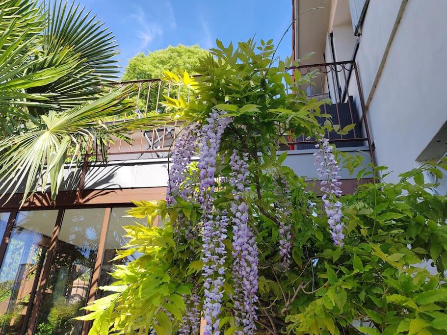 Une bande de fleurs violettes suspendues à un bâtiment dans l'établissement Appart climatisé Terrasse Vue sur Lyon et les quais de Saône, à Lyon