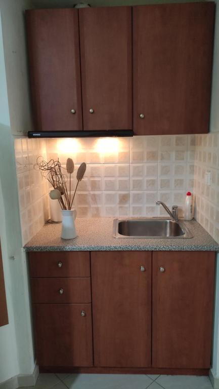 Kuchyň nebo kuchyňský kout v ubytování Ampolias rooms Messolonghi