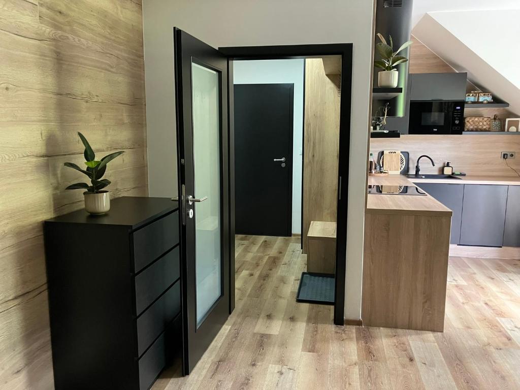 Kuchyň nebo kuchyňský kout v ubytování Apartmán Vrbno pod Pradědem