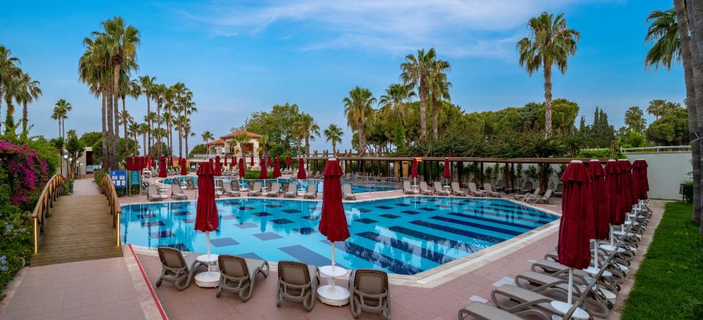 Bazén v ubytování Trendy Palm Beach Adults Only nebo v jeho okolí