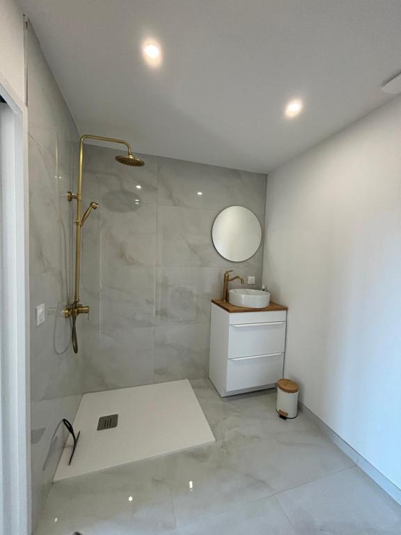 une salle de bain avec une douche, un lavabo et un miroir dans l'établissement Appartement cosy, à Bagnols-en-Forêt
