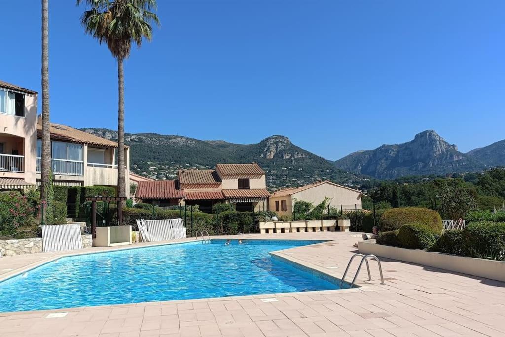 une piscine avec un palmier et des montagnes en arrière-plan dans l'établissement Jolie maison, à Vence