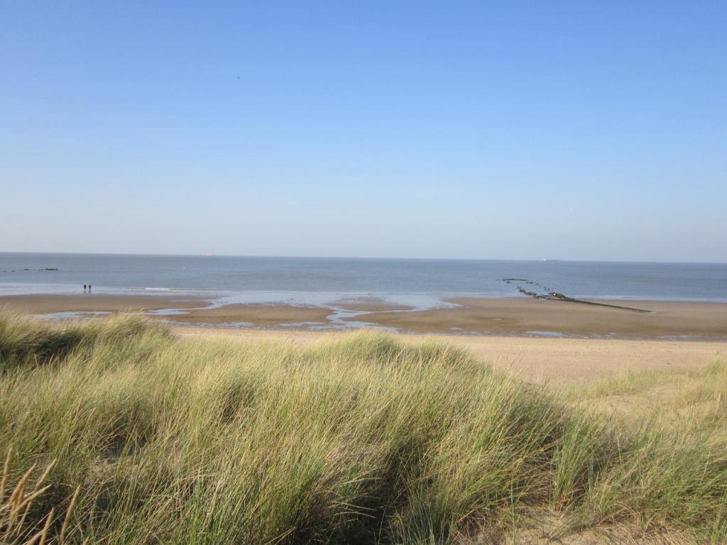 a beach with grass and the ocean in the background at Zoutezoute in Knokke-Heist