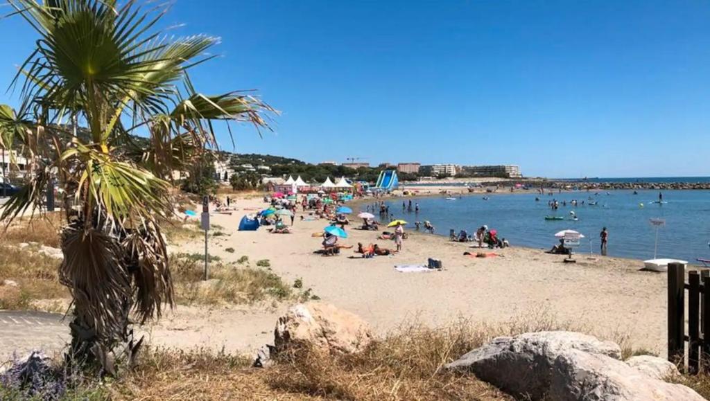 un groupe de personnes sur une plage avec un palmier dans l'établissement Corniche Bleue à 3 mn à pied de la plage, à Sète