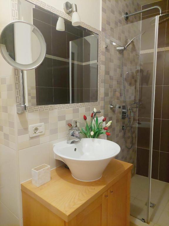 Boutique Guest Accommodation Zephyrus - One-Bedroom Apartment With Balcony