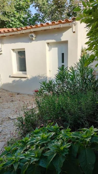 une petite maison blanche avec une brousse devant elle dans l'établissement Maisonnette en Provence climatisée, wifi, parking, à Arles