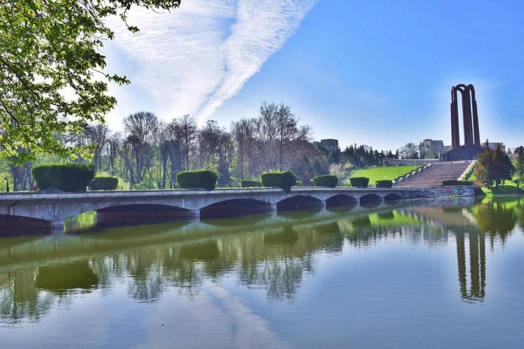 Carol Park View - Resim 45