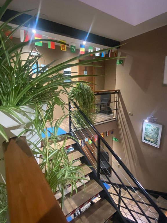 Φωτογραφία από το άλμπουμ του Hostal Ayiwün σε Concepción