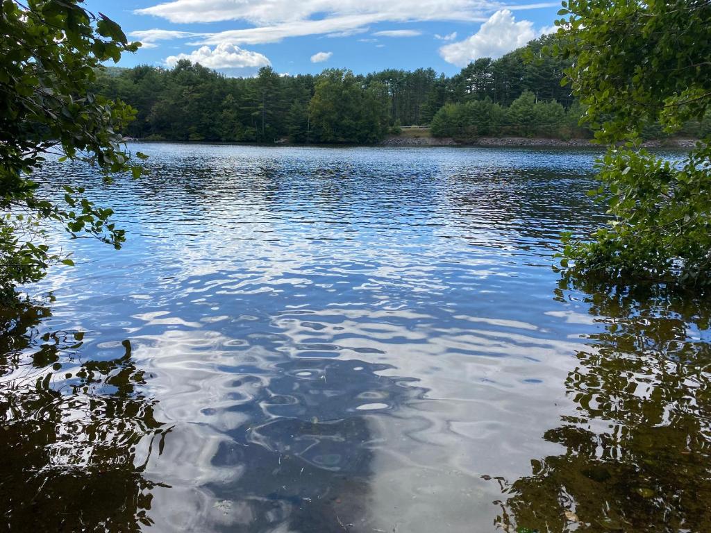Adirondack Waterfront Cabin Upper Hudson Tributary - Casa De Dos Dormitorios