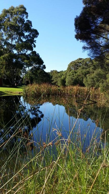 a pond in a field with trees in the background at Crystal Springs Holiday Accommodation in Walpole