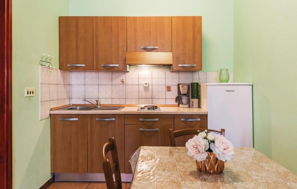Kuchyň nebo kuchyňský kout v ubytování Apartments Armin
