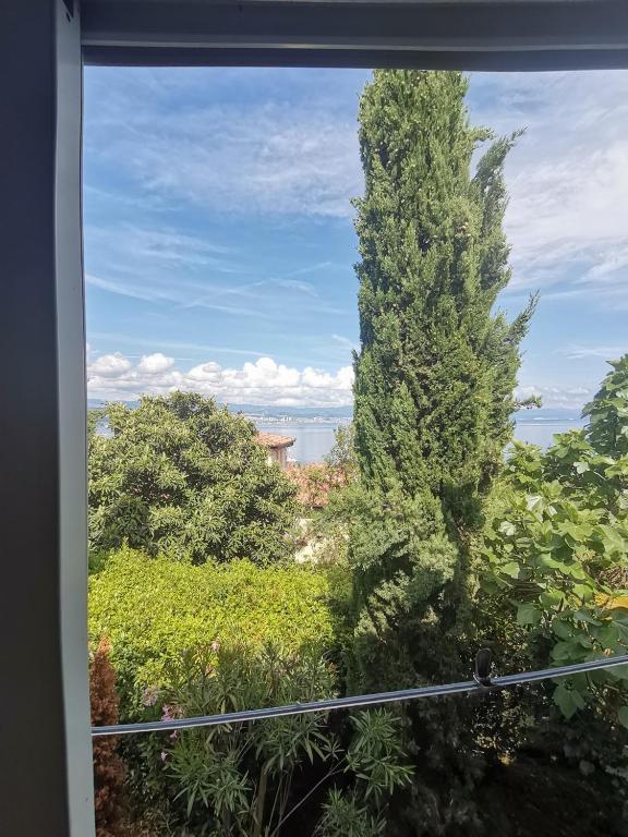 Příroda nedaleko apartmánu