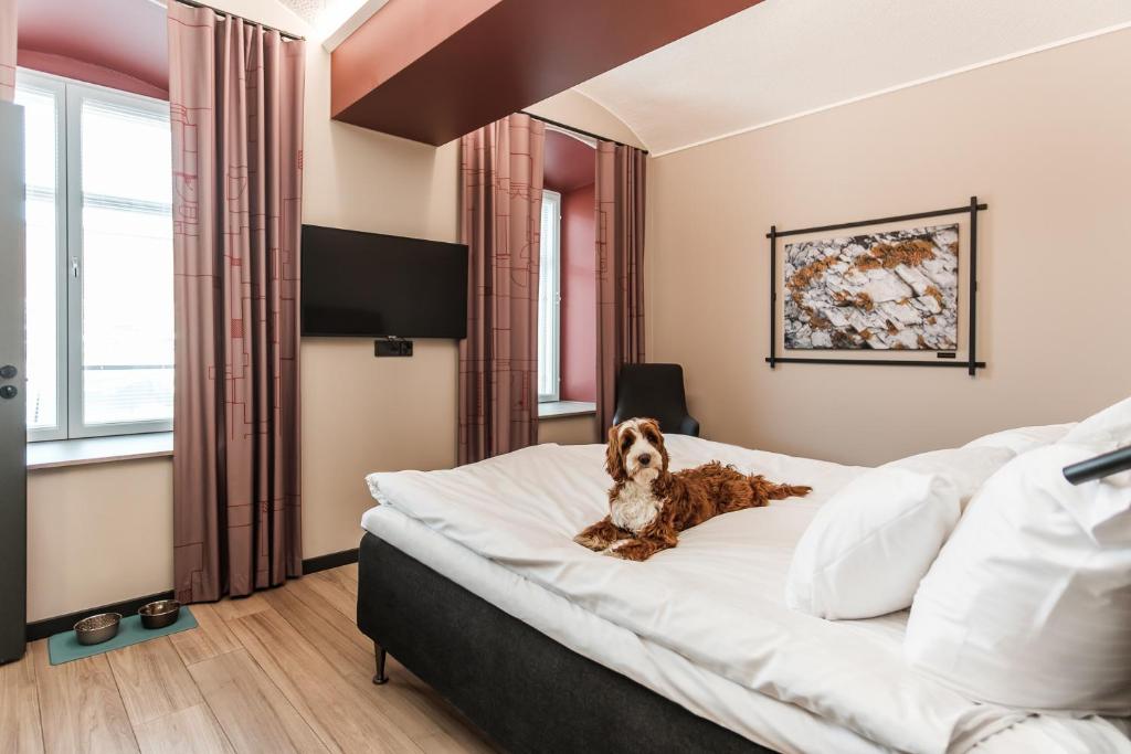 Hotel Kakola - King Room