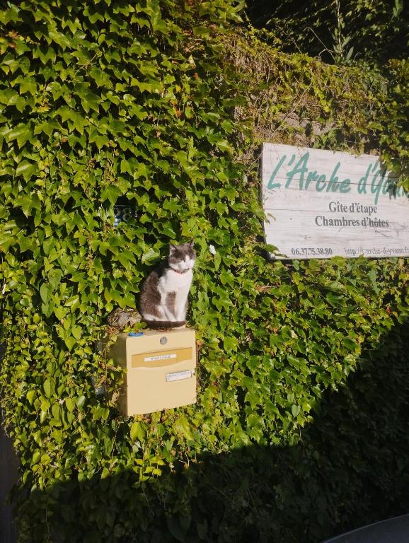 Domácí mazlíčci ubytovaní s hosty v ubytování Chambres d'hôtes l'arche d'Yvann