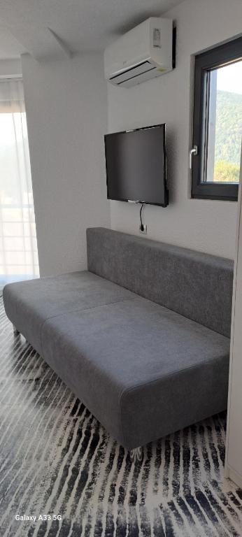 TV a/nebo společenská místnost v ubytování Borderline Accomodation