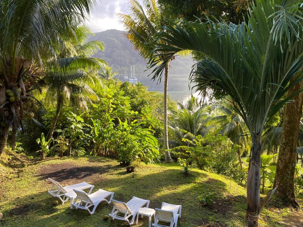 HUAHINE Manta Lodge avec 4x4 optionnel - photo 5 - Huahine, Polynésie