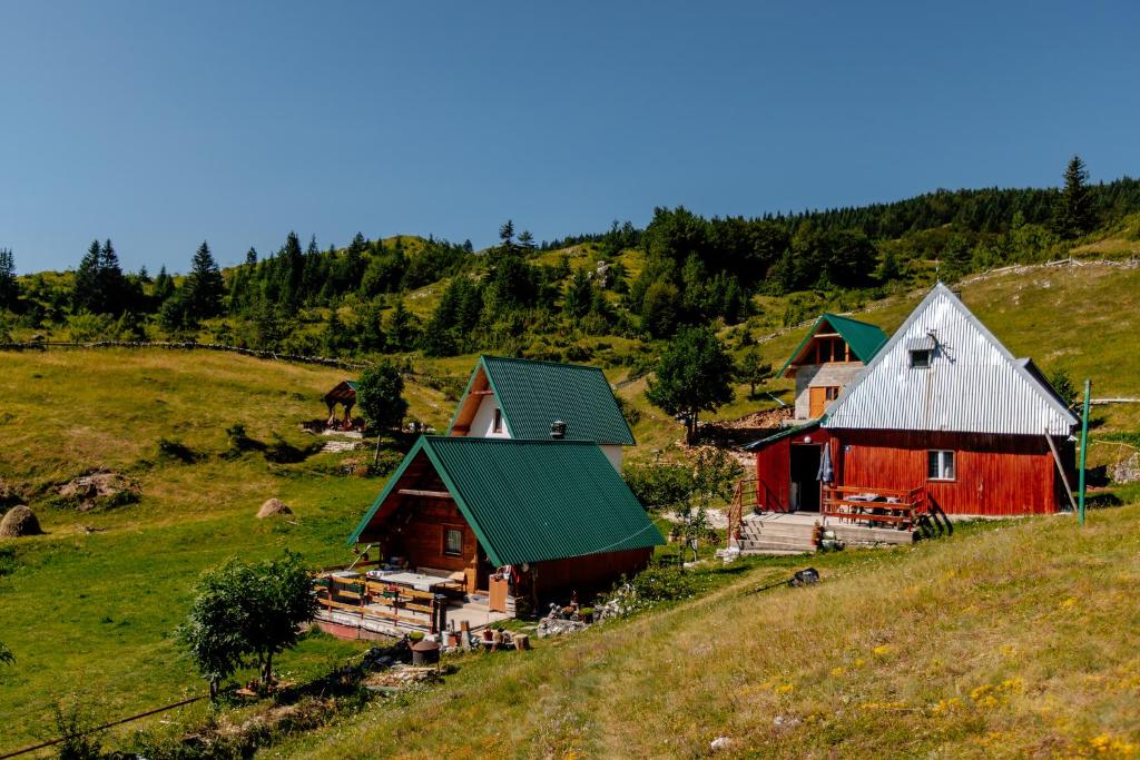 Příroda nedaleko bed and breakfast