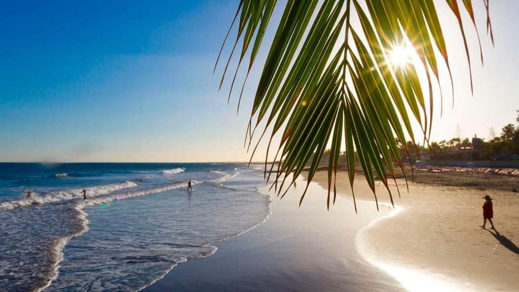 Naturlandskabet i nærheden af lejligheden