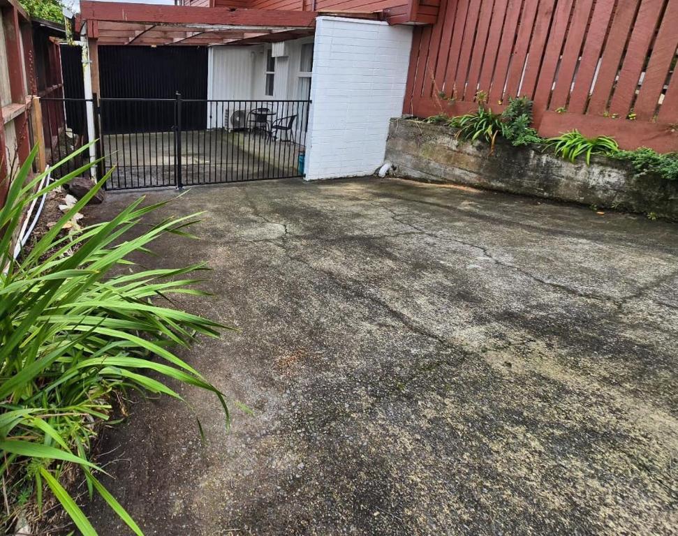 Abode for Two and a Few Paws - Resim 8