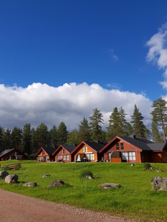 a group of houses in a field with grass and rocks at Fulufjellstunet in Ljørdal