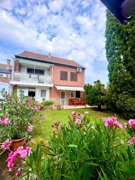 dom z różowymi kwiatami w ogrodzie w obiekcie Barát Vendégház - Cosy Guesthouse - Teljes ház privát udvarral - 4 szoba, 2 fürdő w Segedynie