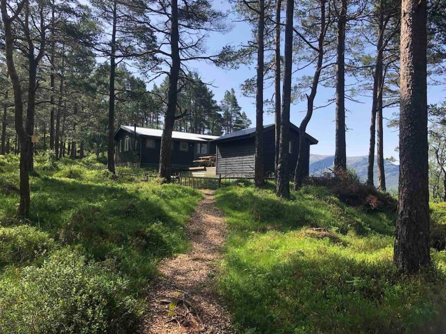 Φωτογραφία από το άλμπουμ του Koselig enkel hytte i fjellet σε Frafjord