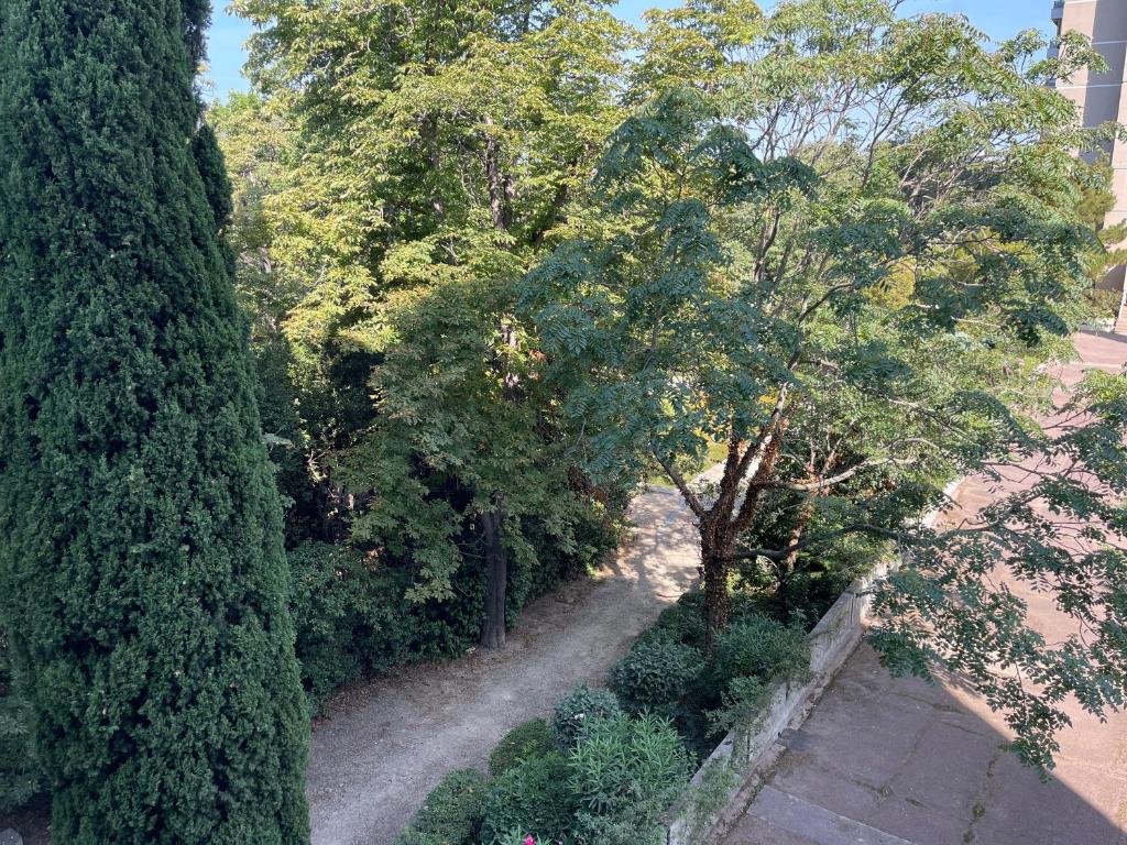 Elle offre une vue sur un jardin avec des arbres et des buissons. dans l'établissement MIchelet st jacques saxo, à Marseille