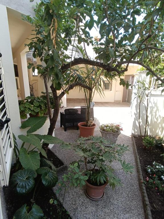 Zahrada ubytování Casa Iole