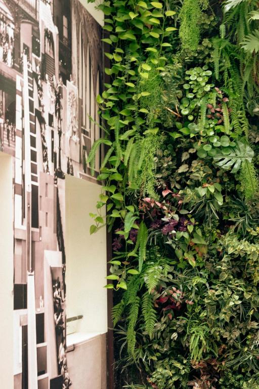 Hotel Aida Marais - Resim 3