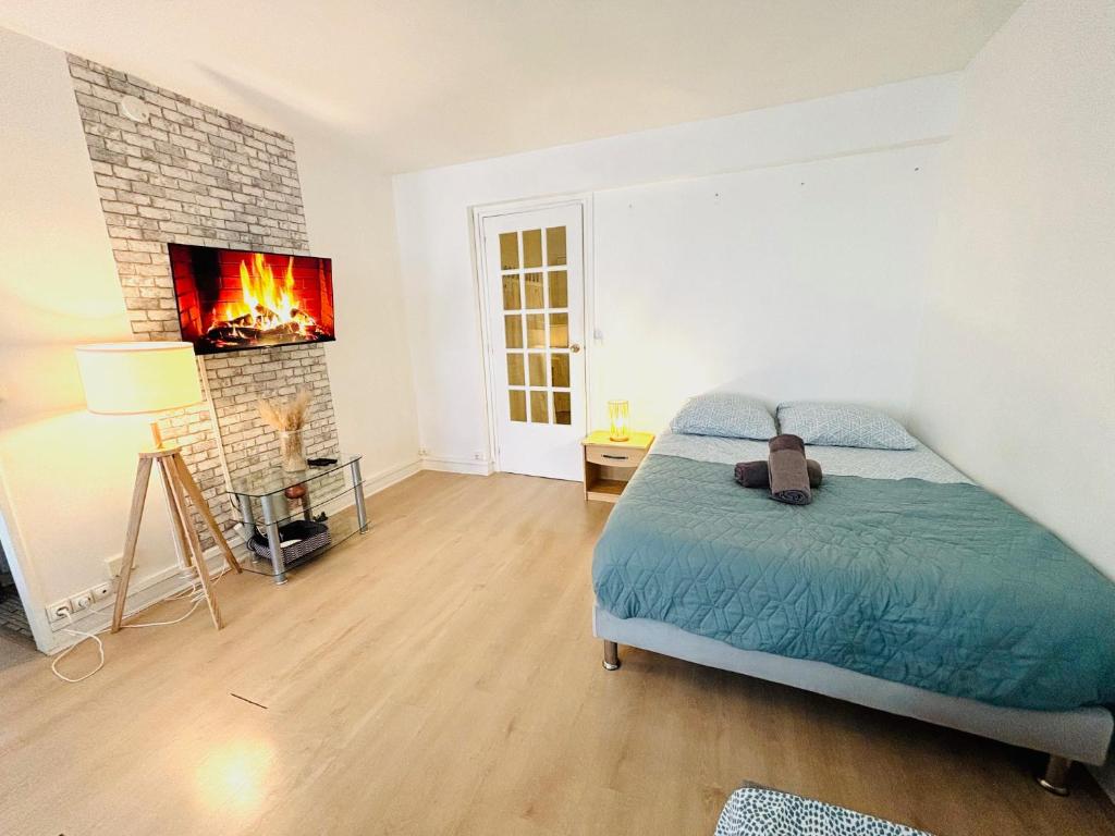 een slaapkamer met een bed en een open haard bij Appartement rue Lecourbe in Parijs