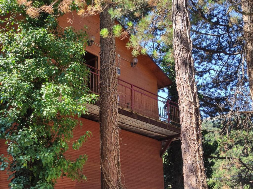Hotel Toni Llogora