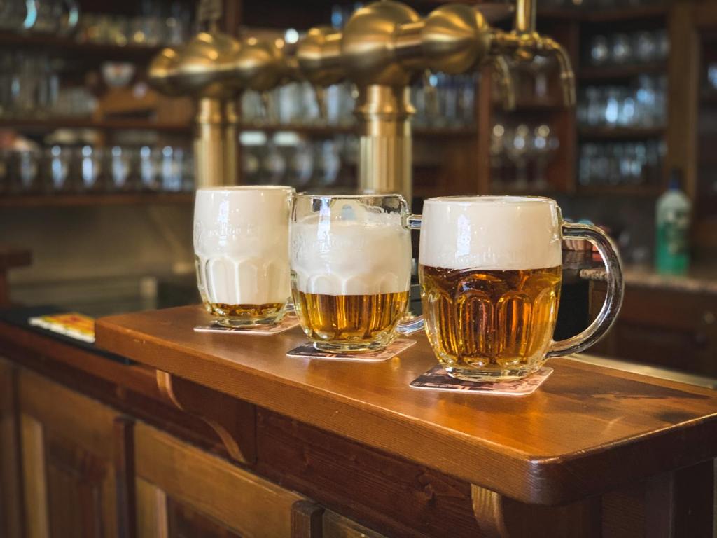 Nápoje v ubytování Hotel U Zeleneho stromu