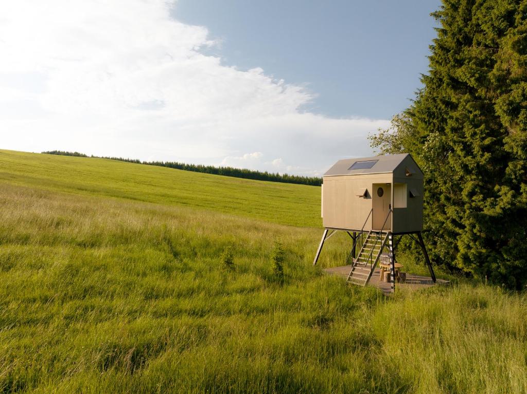 a smallshed in a field next to a tree at Posed na Orave in Novoť