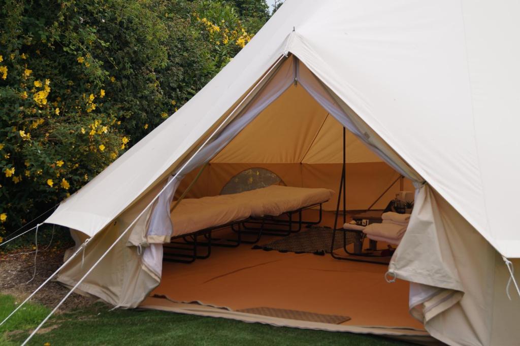 Fotografie z fotogalerie ubytování Dartmoor Halfway Campsite v destinaci Newton Abbot