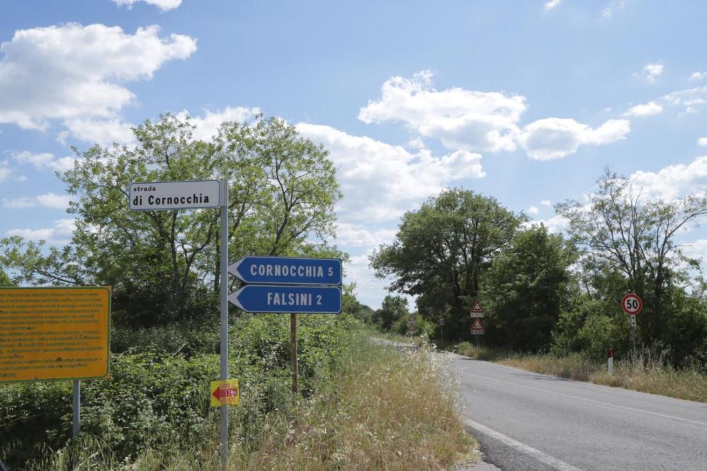 Příroda nedaleko prázdninového domu