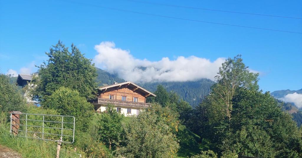 Příroda nedaleko apartmánu