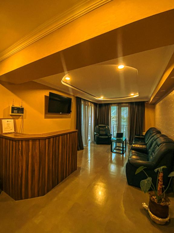 TV a/nebo společenská místnost v ubytování Hotel Gold Kazbegi